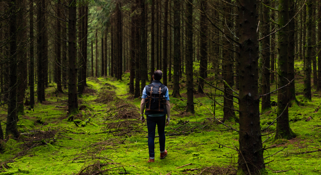 Maakleri kasutamise eelised metsa või põllumaa müügil