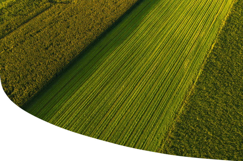 Maaklerteenus põllumaa müügil