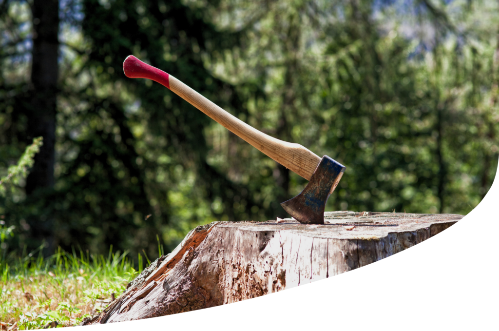 Maaklerteenus raieõiguse müügil